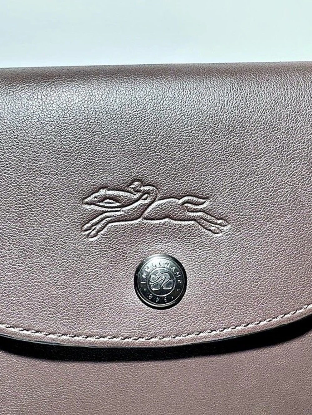 Longchamp Le Pliage Energy Brown Shoulder Bag